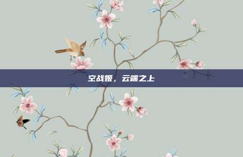 空战姬，云端之上