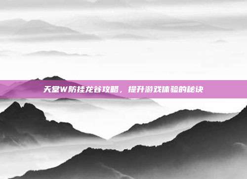 天堂W防挂龙谷攻略，提升游戏体验的秘诀