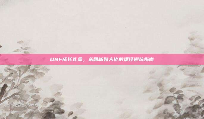 DNF成长礼盒，从萌新到大佬的捷径避坑指南