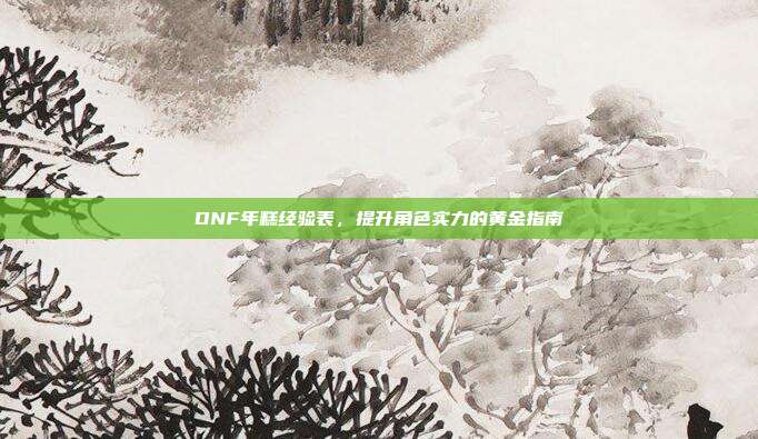 DNF年糕经验表，提升角色实力的黄金指南