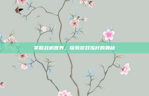 掌握战机世界,探索游戏摇杆的奥秘