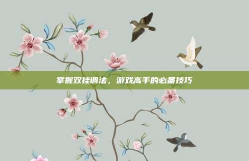 掌握双挂调法，游戏高手的必备技巧