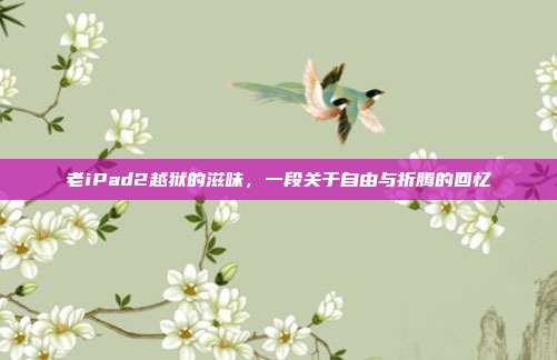老iPad2越狱的滋味，一段关于自由与折腾的回忆
