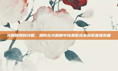 火麒麟团购攻略,如何在火麒麟中以最低成本获取最强装备