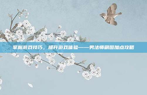 掌握游戏技巧,提升游戏体验——男法师刷图加点攻略
