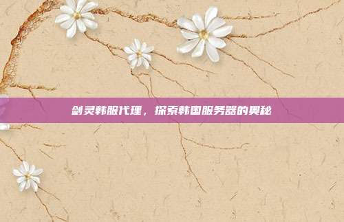 剑灵韩服代理，探索韩国服务器的奥秘