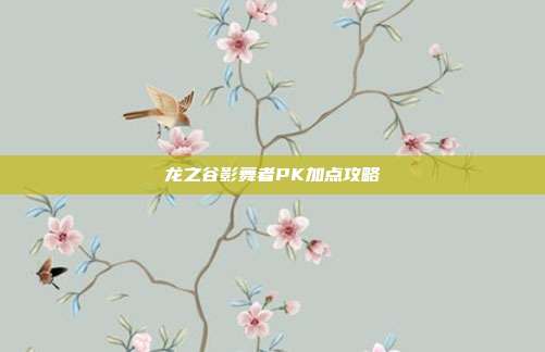 龙之谷影舞者PK加点攻略