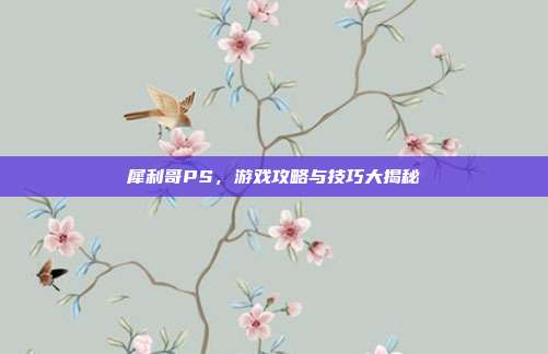 犀利哥PS,游戏攻略与技巧大揭秘