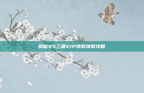 揭秘VS三国VIP特权领取攻略