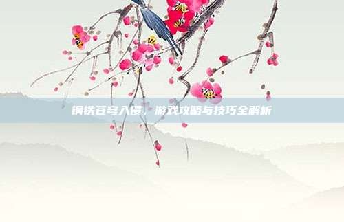 钢铁苍穹入侵,游戏攻略与技巧全解析