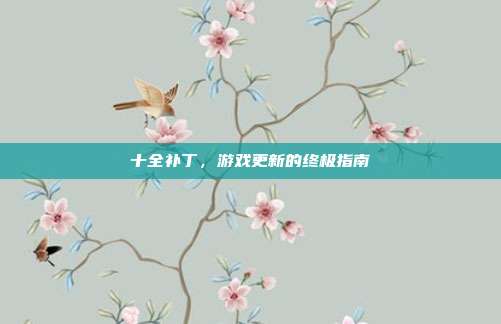 十全补丁,游戏更新的终极指南
