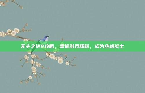无主之地2攻略，掌握游戏精髓，成为终极战士