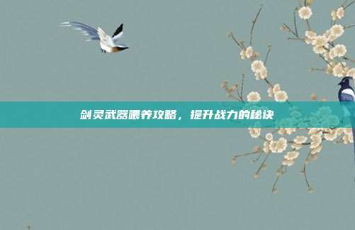 剑灵武器喂养攻略,提升战力的秘诀
