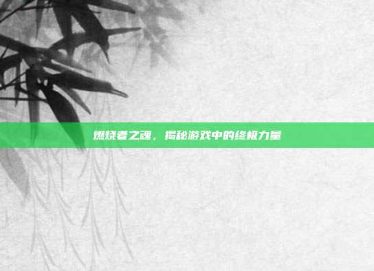 燃烧者之魂，揭秘游戏中的终极力量