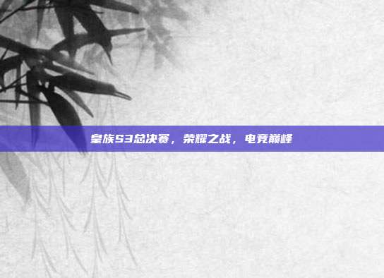 皇族S3总决赛,荣耀之战,电竞巅峰