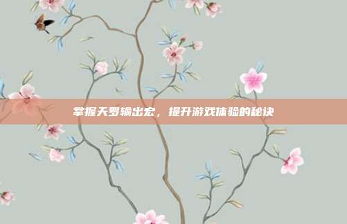 掌握天罗输出宏，提升游戏体验的秘诀