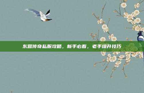 东营传奇私服攻略,新手必看,老手提升技巧