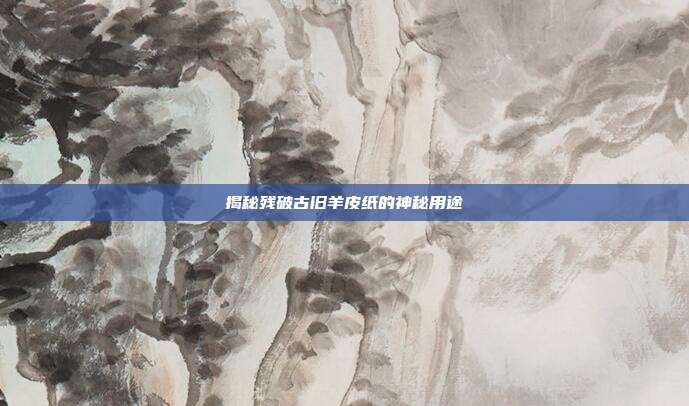 揭秘残破古旧羊皮纸的神秘用途