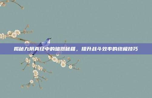揭秘九阴真经中的暗器秘籍,提升战斗效率的终极技巧