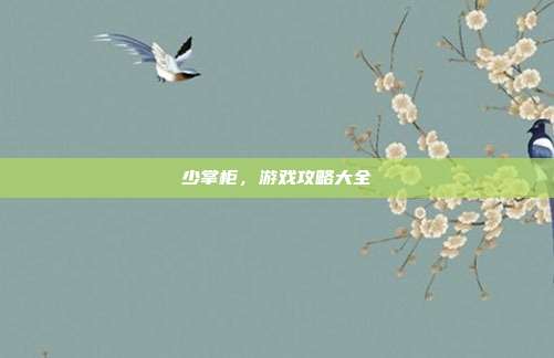 少掌柜，游戏攻略大全