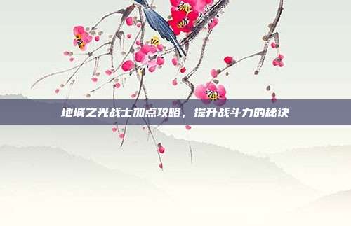 地城之光战士加点攻略,提升战斗力的秘诀
