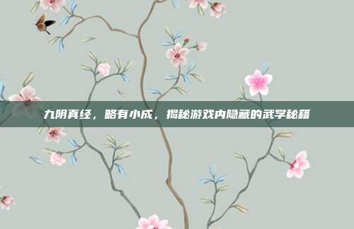 九阴真经,略有小成,揭秘游戏内隐藏的武学秘籍