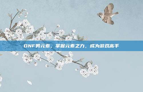 DNF男元素,掌握元素之力,成为游戏高手