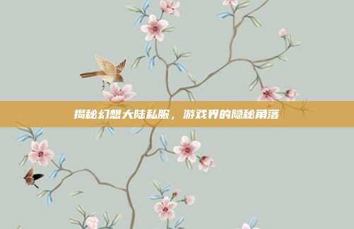 揭秘幻想大陆私服,游戏界的隐秘角落