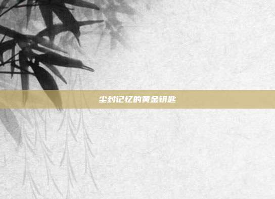 尘封记忆的黄金钥匙