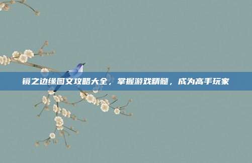 镜之边缘图文攻略大全,掌握游戏精髓,成为高手玩家
