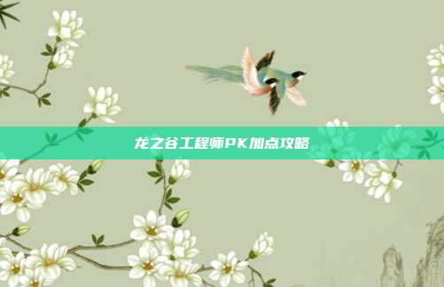 龙之谷工程师PK加点攻略