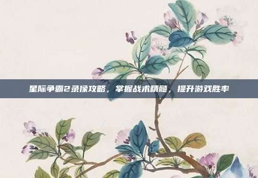 星际争霸2录像攻略，掌握战术精髓，提升游戏胜率