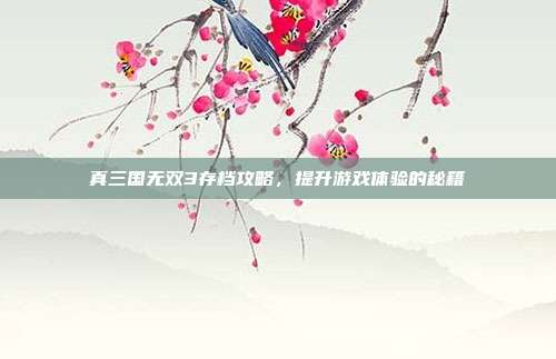 真三国无双3存档攻略，提升游戏体验的秘籍