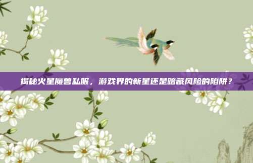 揭秘火星魔兽私服，游戏界的新星还是暗藏风险的陷阱？