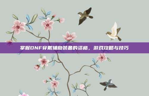 掌握DNF穿戴辅助装备的资格，游戏攻略与技巧