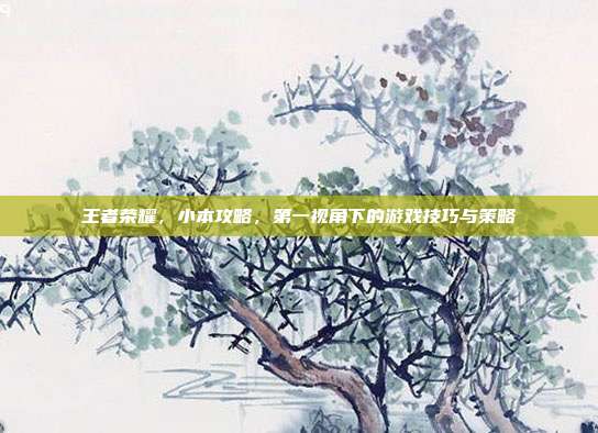 王者荣耀，小本攻略，第一视角下的游戏技巧与策略