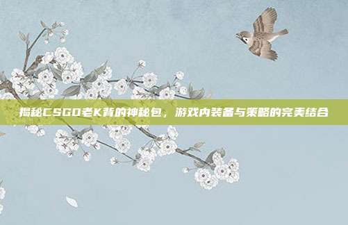 揭秘CSGO老K背的神秘包，游戏内装备与策略的完美结合