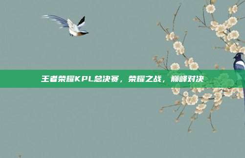 王者荣耀KPL总决赛，荣耀之战，巅峰对决
