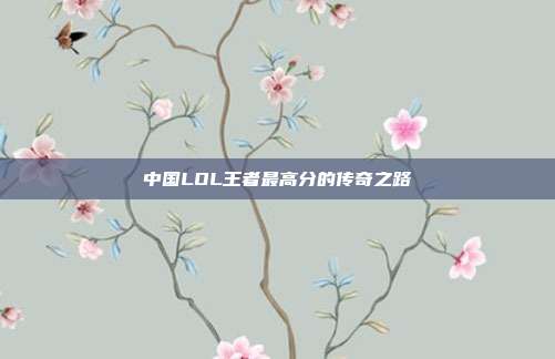 中国LOL王者最高分的传奇之路