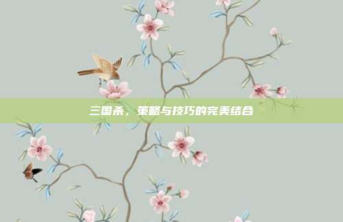 三国杀，策略与技巧的完美结合