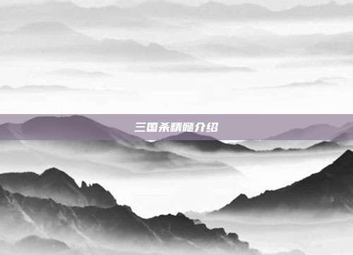 三国杀精髓介绍