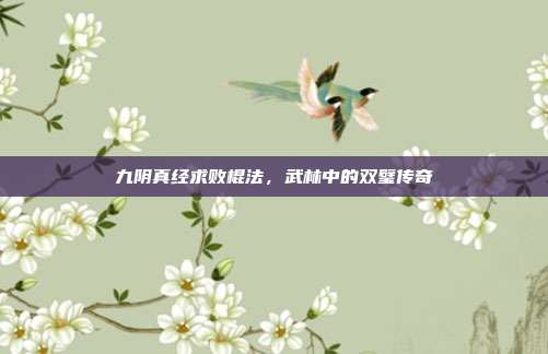九阴真经求败棍法，武林中的双璧传奇
