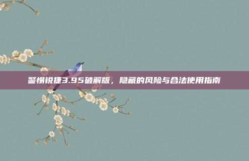 警惕锐捷3.95破解版，隐藏的风险与合法使用指南