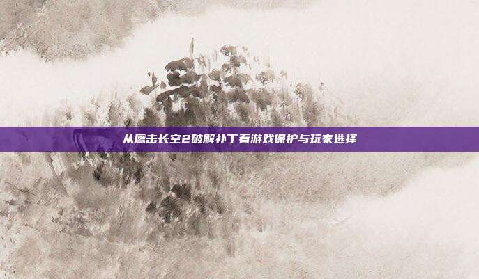 从鹰击长空2破解补丁看游戏保护与玩家选择