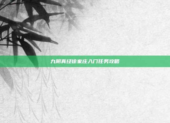 九阴真经徐家庄入门任务攻略