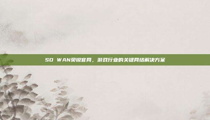 SD WAN贝锐官网，游戏行业的关键网络解决方案