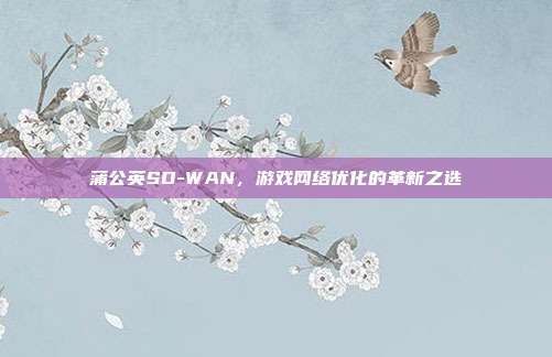 蒲公英SD-WAN，游戏网络优化的革新之选