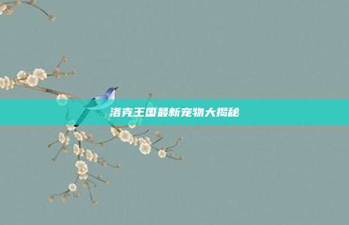 洛克王国最新宠物大揭秘