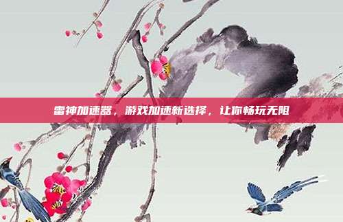 雷神加速器，游戏加速新选择，让你畅玩无阻