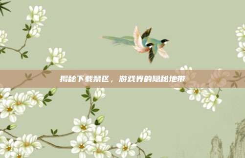 揭秘下载禁区，游戏界的隐秘地带
